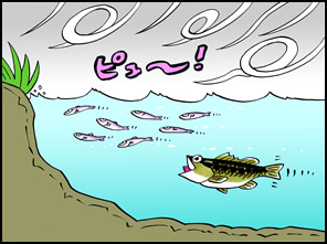 同じ岸際でも風があたる、風下のエリアが夏は有効なことが多い